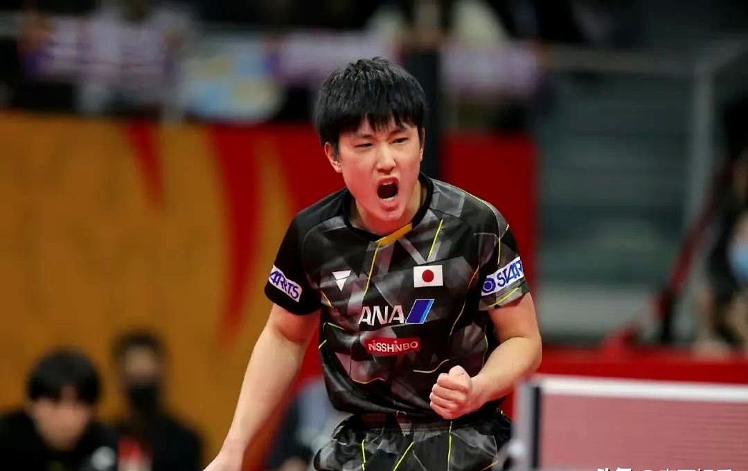 日本乒乓球队逆转波兰乒乓球队,张本智和绝境逆转的简单介绍 日本乒乓球队逆转波兰乒乓球队,张本智和绝境逆转的简单介绍