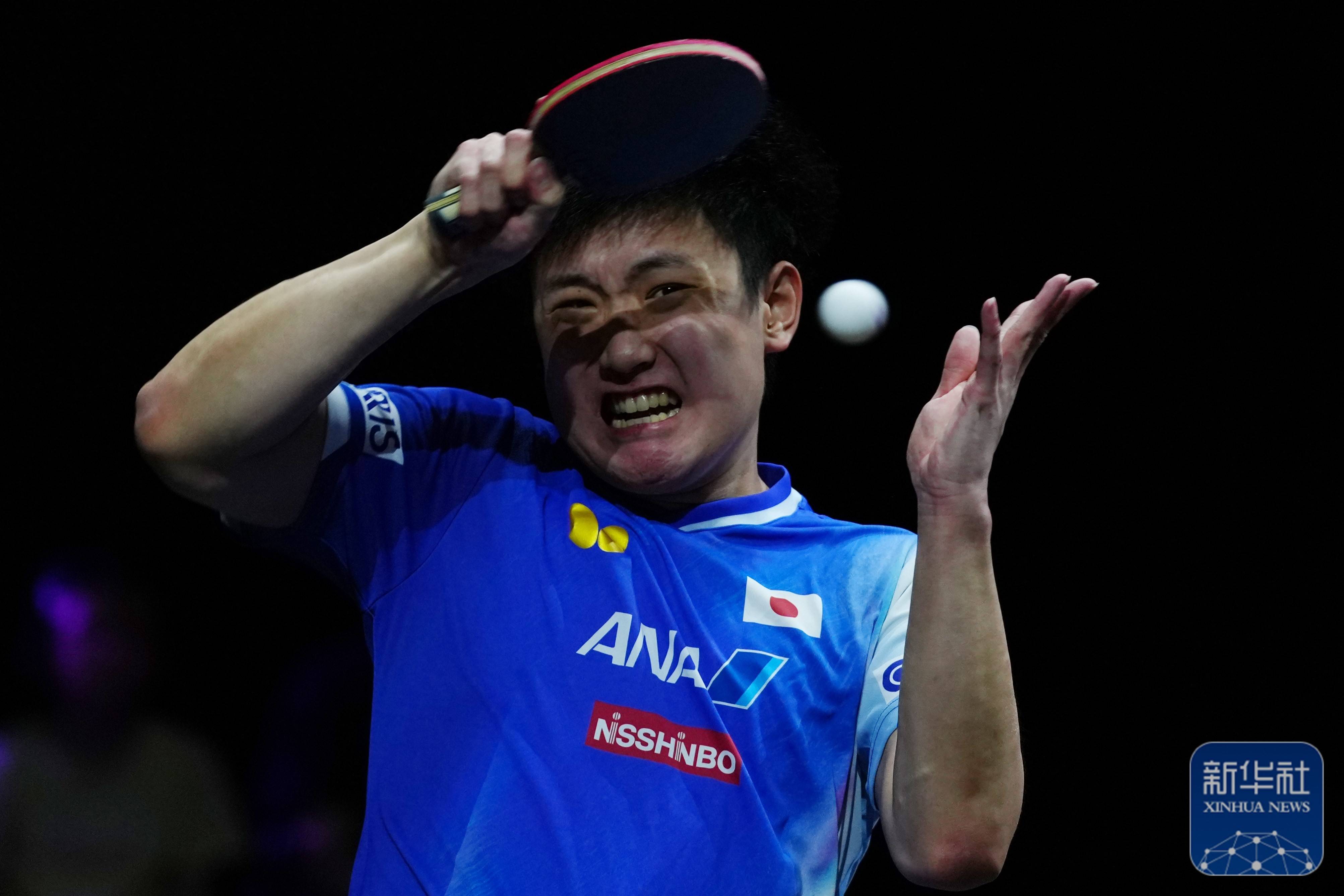 法国乒乓球队绝杀日本乒乓球队,张本智和惊艳世界的简单介绍 法国乒乓球队绝杀日本乒乓球队,张本智和惊艳世界的简单介绍